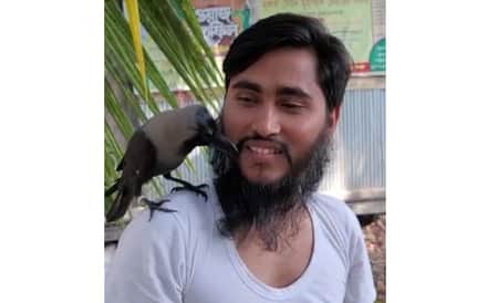 মানুষের সঙ্গে কাকের বন্ধুত্ব