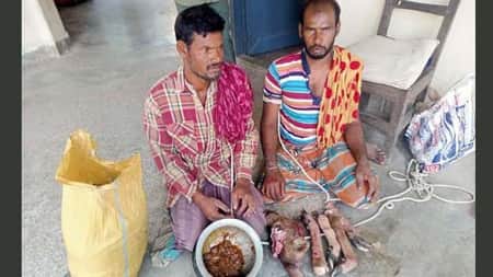 রান্না করা হরিণের মাংস ও মাথাসহ আটক ২
