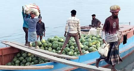 ১৬০ শতক জমিতে তরমুজ চাষ করে লাভ ৭ লাখ টাকা তরমুজ