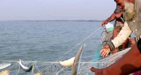 মধ্যরাত থেকে ইলিশ ধরতে নামবেন জেলেরা ইলিশ