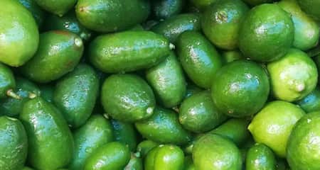 ১ হালি লেবুর দাম ১০০ টাকা কাগজি লেবু