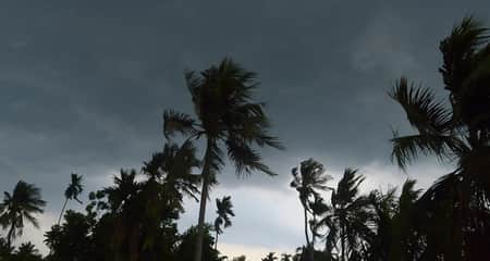 কালবৈশাখী