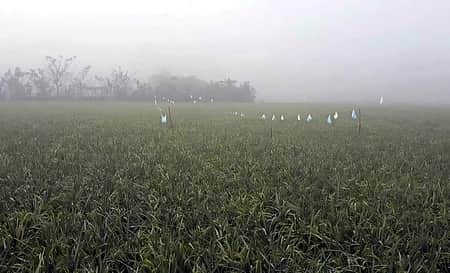 অসময়ে ঘন কুয়াশার কারণ জানাল আবহাওয়া অফিস ঘন কুয়াশা