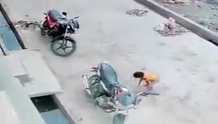 বাচ্চা
