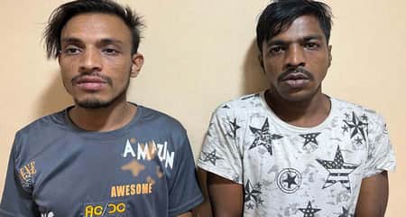 ২ সহোদর