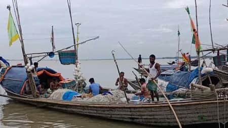 কাল থেকে চাঁদপুরের পদ্মা-মেঘনায় ইলিশ ধরার প্রস্তুতি জেলেদের