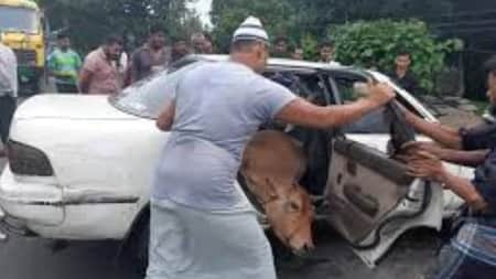 প্রাইভেটকারে গরু চুরি করতে গিয়ে ধরা, গণপিটুনিতে আহত ৩