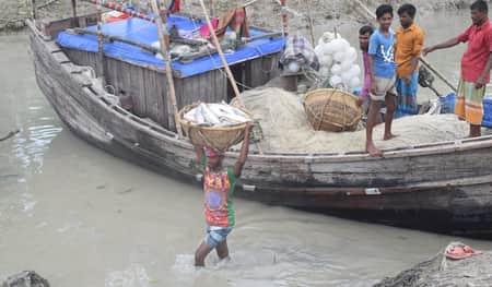 বহুমুখী সংকট নিয়ে ইলিশ ধরতে যাচ্ছেন উপকূলের মৎস্যজীবীরা ইলিশের মৌসুম