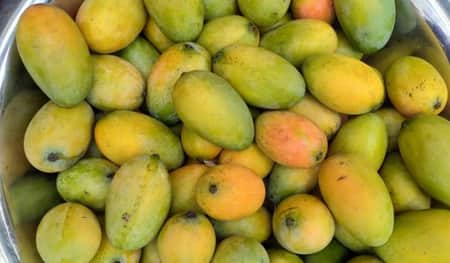 মাগুরায় আড়াই শ টাকা দরে বিক্রি হচ্ছে পাকা আম