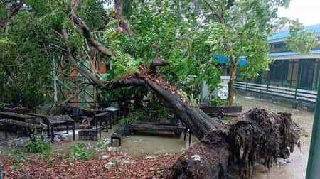 মিয়ানমারে তাণ্ডব চালাচ্ছে মোখা, বড় ধরনের বিপর্যয়ের শঙ্কা