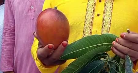 আম