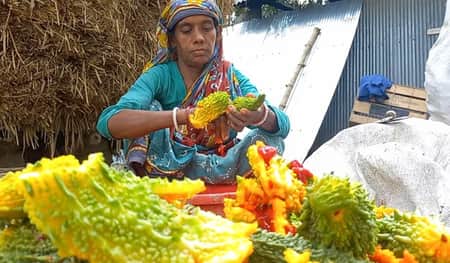 সবজি বীজ