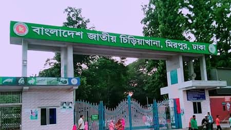চিড়িয়াখানায় যেভাবে হায়েনার আক্রমণের শিকার শিশুটি