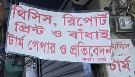 থিসিস পেপার