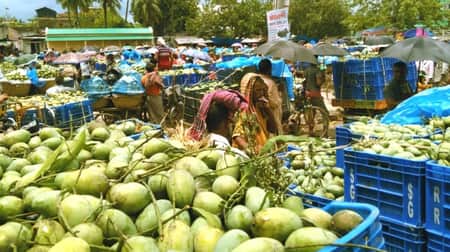 ৫৫ কেজিতে ১ মণ!