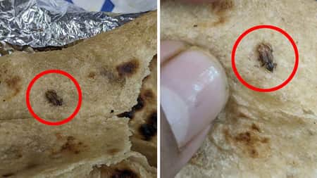 ভারতে ট্রেনে পরিবেশন করা খাবারে মিলল তেলাপোকা