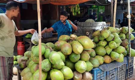 ডাব ব্যবসায়ীদের লাগবে ট্রেড লাইসেন্স ও টিআইএন ডাব ব্যবসায়ী