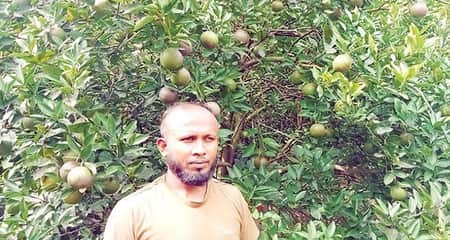 কলারোয়ায় মাল্টা চাষে অভাবনীয় সাফল্য আক্তারুজ্জামানের মাল্টা চাষ