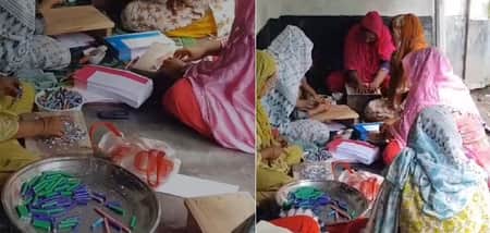 নাছিমার উদ্ভাবন করা কলম যাচ্ছে যুক্তরাষ্ট্রে, যা থেকে হবে গাছ