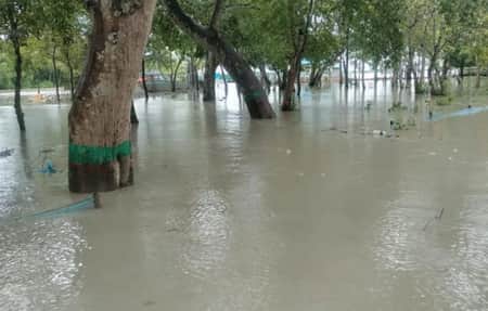 জলোচ্ছ্বাসে তলিয়ে গেছে গোটা সুন্দরবন