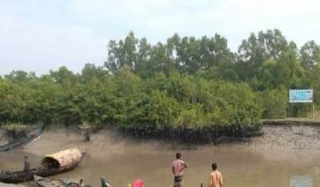 সুন্দরবনে সাত জেলেকে ১৫ লাখ টাকা জরিমানা