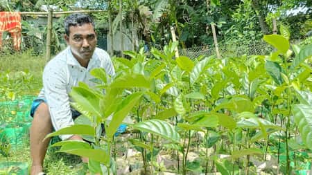 খলিল মিয়া