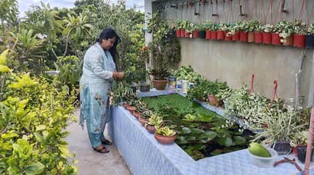 তনিমা আফরিন