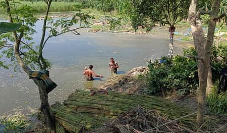 পাটের দাম