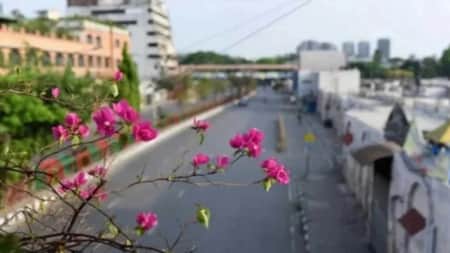 শুক্রবার