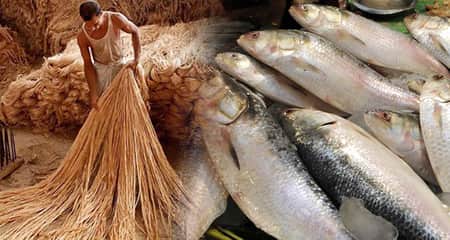 Ilish