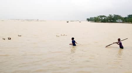 ‘মাছের ভান্ডার’ খ্যাত হাওরাঞ্চলেও মিলছে না মাছ