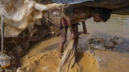 সোনার লোভে স্কুল ছাড়ছে সোনার ছেলেরা