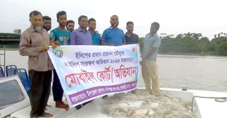 ইলিশ
