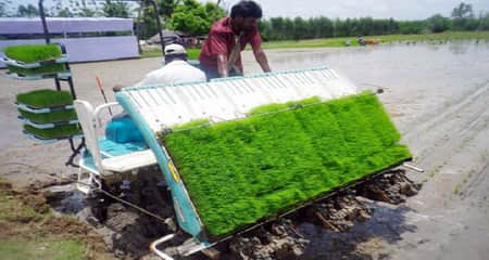 ট্রান্সপ্লান্টারের মাধ্যমে আমন ধানের চারা রোপণে লাভবান কৃষকরা কৃষক