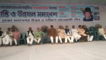 ঢাকা মহানগর