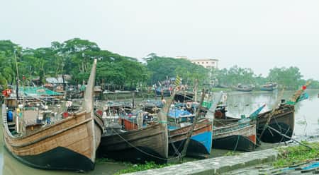 ইলিশ ধরায় নিষেধাজ্ঞা চলাকালীন যা মানতে হবে