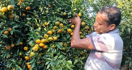 আলমগীর