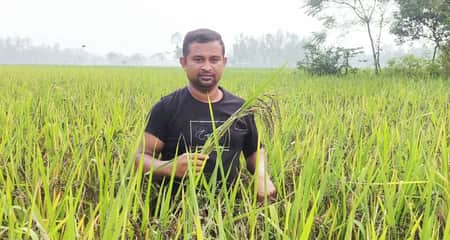 কালো ধান চাষ করে সাড়া ফেলেছেন যুবক কালো ধান চাষ
