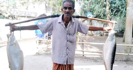 রাস্তায় রাস্তায় ফেরি করে চিতল মাছ বিক্রি মাছ বিক্রি