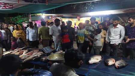 ‘জামাই সোহাগী’ মেলায় ৩০ লাখ টাকার মাছ বিক্রি fish fair