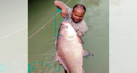 জেলের জালে ধরা পড়ল ২২ কেজির কাতল কাতল