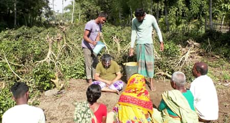 চা বাগান উপড়ে ফেলে দুধ দিয়ে গোসল করলেন চাষি চাষি