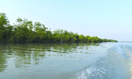 ছৈলারচর