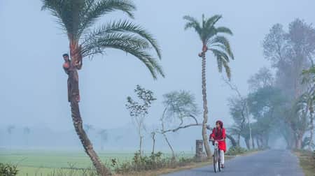 কেমন হবে এবারের শীতকাল? জানালেন আবহাওয়াবিদরা Winter