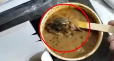 আস্ত ইঁদুর