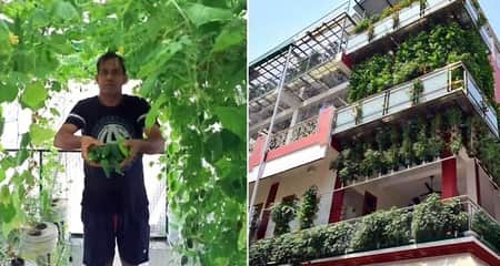 দুবাই থেকে শিখে শুরু করেন জমি ছাড়াই চাষবাস, এখন বছরে আয় ৭০ লাখ টাকা চাষাবাদ