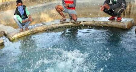 ভারতের রহস্যময় পুকুরে হাততালি দিলেই ঘটে যায় অলৌকিক ঘটনা পুকুর