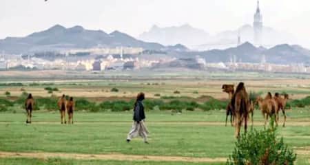 মরুভূমি