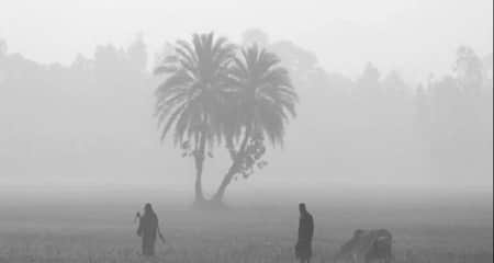 শৈত্যপ্রবাহ