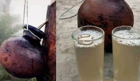 কাঁচা খেজুরের রস পান করে হাসপাতালে ৬ শিক্ষার্থী কাঁচা খেজুরের রস